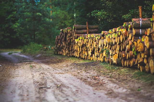 road-791406_640